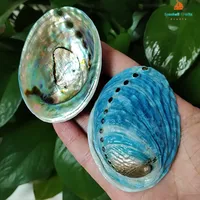 Coquilles d'ormeau naturelles ovales bleues, coquilles Paua Haliotis Iris, pour aménagement d'aquarium, décoration nautique DIY, support à bijoux, continentales