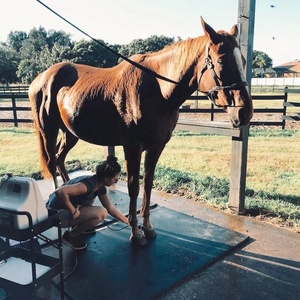 Équipement laser thérapeutique vétérinaire DMLLP02 pour chevaux, équipement laser pour animaux de grande taille, équipement de traitement de la douleur équine - Product Image 6