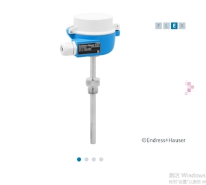Thermomètre modulaire industriel E+H ITHERM ModuLine TM131-8JBBACB1BB2AFCB3AA1AA1+SBTJ, capteur de température OEM personnalisable - Product Image 2