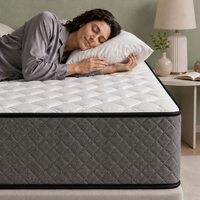 Matelas orthopédique à ressorts ensachés compressé, taille Queen et King, pour hôtel et chambre à coucher, Matelas Compressé Orthopédique