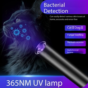 Mini lampe torche UV LED 365NM rechargeable par USB, <span class=keywords><strong>de</strong></span> poche, pour la détection <span class=keywords><strong>de</strong></span> taches d'animaux, fuites, minerais, argent et scorpions - Product Image 4