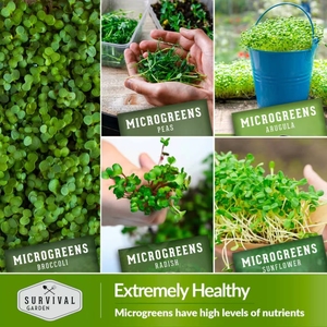 Cao cấp 10 gói microgreens vườn kit bao gồm dưa hấu củ cải và Red acre bắp cải và nhiều hơn nữa - Product Image 4