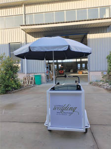 भोजन वेंडिंग ट्राइसाइकिल गर्म कुत्ते आइसक्रीम कॉफी मोबाइल बिक्री सेवा कैबिनेट लोड बाइक ट्रॉली - Product Image 3