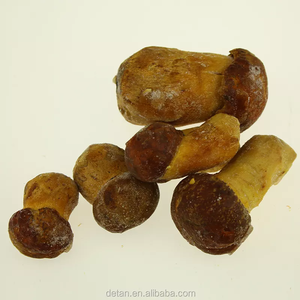Detan-setas de porcini con seta de temporada, setas de porcinilo salvajes congelados - Product Image 3