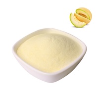 Poudre de fruits en gros de qualité alimentaire : Poudre de melon Hami naturelle et Poudre de jus de melon Cantaloup