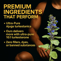 Extrait de Turkestanica Vegan Pur 500mg 10:1 Ultra-Pur en Capsules, Marque Privée OEM, Supplément pour la Croissance et la Récupération Musculaire