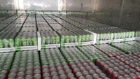 Vente en gros Paquet de variété de boissons gazeuses sans sucre calorie et sans gras avec cerise Saveurs pêche pomme mangue litchi emballage en vrac