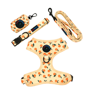 TOPBUDDY カスタム柄プリント ネオプレン製 犬用ハーネスセット - Product Image 3