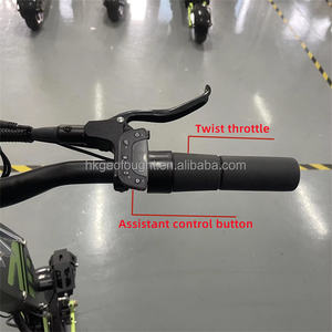 Pièces de scooter électrique LIVIAE 60V 72V de bonne qualité, accélérateur à demi-poignée pour scooter Boyueda S5 Geofought M5 R7 R8 G14 - Product Image 6