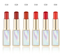 Personnalisable Velvet Glow Mirage Lip Elixir Rouge à Lèvres Aquatique Bio Longue Durée Brillant Mat Finition Beauté Maquillage Rouge à Lèvres Doux
