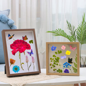 DM493-rellenos natrales de flores secas prensadas, hojas de plantas, espécimen, pegatina de mariposa, arte de resina artesanal para Decoración - Product Image 6