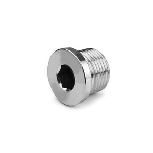 ปลั๊กหกเหลี่ยมสแตนเลสเกลียวนอก Bspp Unf 3000Lb 6000Lb ข้อต่อท่อไฮดรอลิก - Product Image 1