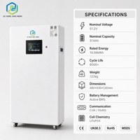 Batterie LiFePO4 murale de 16,07 kWh 51,2 V 314 Ah pour système de stockage d'énergie solaire domestique avec BMS intégré