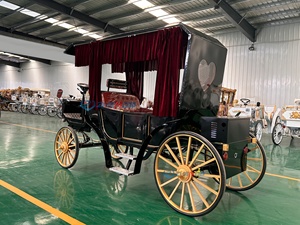 Carroza de Caballos Zhenda para 6 Personas, para Paseos Turísticos al Aire Libre, Bodas Románticas, Estructura de Acero, Neumáticos de Goma Sólida - Product Image 3
