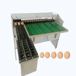 Transporte rápido aço inoxidável 4000 pcs/h automático galinha ovo classificação máquina ganso ovos pato classificação máquina