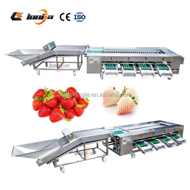 Apple Cherry Tomato Lavage Sweet Potato Grader Strawberry Grading Machine Roller  Sorting Machine