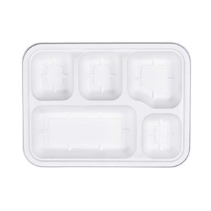 Plateau repas en bagasse 5 compartiments de qualité supérieure 205 mm |   Plateau de service alimentaire jetable écologique |   Prix de gros - Product Image 4