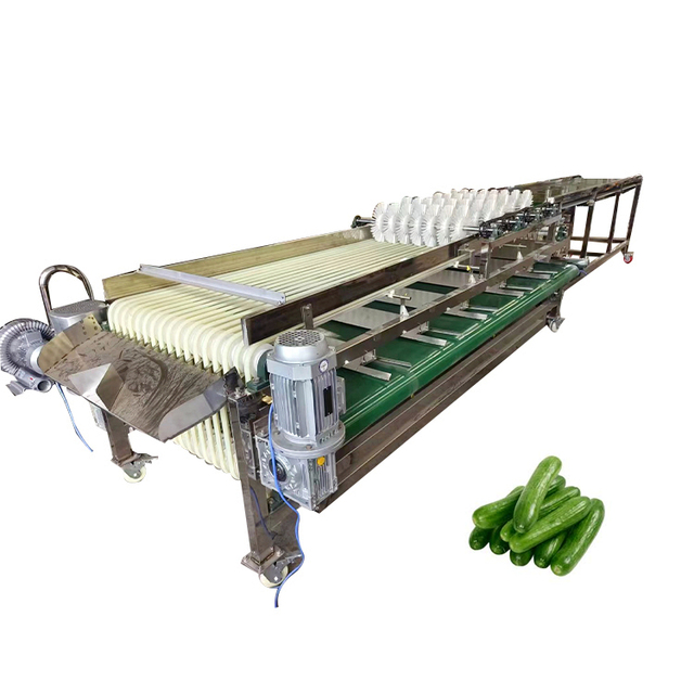Large Capacity Cucumber Carrot Grading Machine Vegetable Fruit Date Palm Potato Sorting Machine