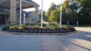 Piastrelle in Ardesia <span class=keywords><strong>Verde</strong></span> Lucidata per Tetti e Giardini Esterni Rivestimento Antiacido per Pavimenti di Ville - Product Image 2