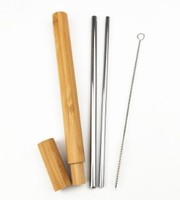 Pailles en acier inoxydable avec brosse de nettoyage, types droit et coudé, pailles réutilisables avec étui