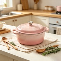 Marmite en fonte émaillée 26 cm, pot à ragoût fileté, casserole à double poignée, faitout antiadhésif, compatible tous feux