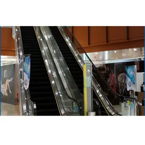 30 Degree, 35 Degree Automatic Shopping Center Indoor Escalator Price