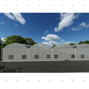 Film de <span class=keywords><strong>serre</strong></span> de tomate agricole bon marché à faible coût <span class=keywords><strong>Serre</strong></span> solaire photovoltaïque solaire multi-travée à vendre - Product Image 4