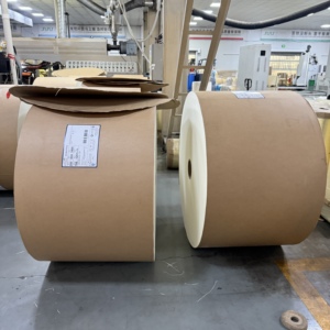 Rouleau de papier enduit de PE double/simple face 150-320 g/m² pour la fabrication de gobelets à boissons chaudes - Product Image 6