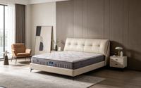 Matelas sur mesure ODM/OEM pour hôtel, fabriqué en Chine, avec ressorts ensachés, Euro Top, en mousse à mémoire de forme, tailles Queen et King