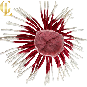 Goodluck Man Hair Topper Wigs Afro Braiding Hair Lace Style 8x10 Size Custom Make - Product Image 3