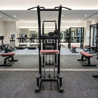 Máquina de Dominadas Ajustable de Acero para Gimnasio Comercial, Equipo de Fitness para Entrenamiento de Espalda, Pecho, Piernas y Brazos