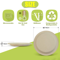 Assiette de fête jetable écologique de 10 pouces en bagasse de canne à sucre polie, classique, biodégradable et compostable