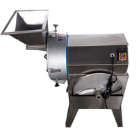 Elektrische groente- en fruitsnijmachine 220V motor aangedreven multifunctionele industriële snijmachine