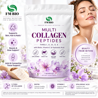 Poudre de peptides de collagène multi-sources OEM ODM Marque Privée Types I, II, III, V, X, Biotine, Vitamine C, Acide Hyaluronique – Complément pour la Peau, les Cheveux, les Articulations et la Santé Intestinale