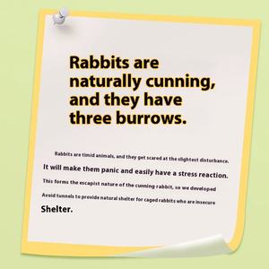 Venta al por mayor de material de pasto natural resistente a la masticación y la dentición <span class=keywords><strong>Casa</strong></span> de conejo - Product Image 4