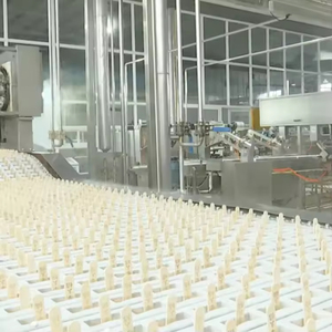 Máquina de Helados Totalmente Automática Personalizada/Línea de Producción de Helados - Product Image 6