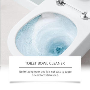 Nettoyant pour taches de toilette jetable écologique de haute qualité 100 ml Bestseller - Product Image 3