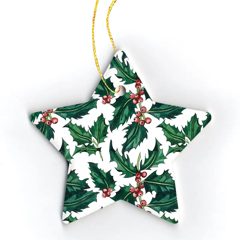 Ivy Gifts Professional Manufacturer Set Christmas Hanging Ornament For Tree