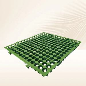 <span class=keywords><strong>Prix</strong></span> du panneau de drainage en cellules géotextiles pour toiture et jardin, en gazon artificiel HDPE 30 mm, en PP - Product Image 1