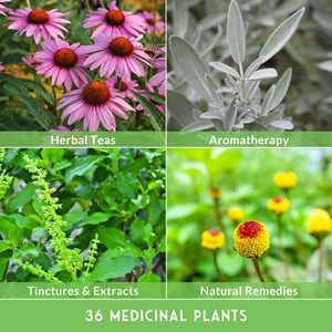 Kit de cultivo estilo granja de hierbas <span class=keywords><strong>medicinales</strong></span> Heirloom Fibra vegetal sin OGM con diseño de estilo rural para bolsas de cultivo <span class=keywords><strong>curativas</strong></span> - Product Image 4