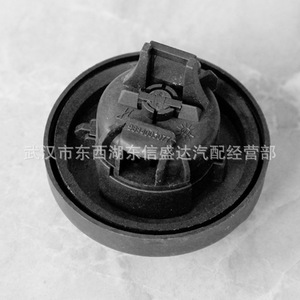 ตัวล็อคถังน้ำมันสำหรับเปอโยต์ 307 รุ่น Oe 1508F3 ขายส่งจากโรงงานโดยตรง - Product Image 3
