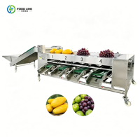 Industriële grote multifunctionele fruit- en groentesorteermachine voor droog en vers fruit, inclusief drakenvruchtensorteerder
