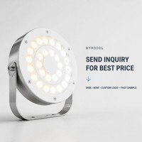 Lumière LED sous-marine certifiée CE IP68, en acier inoxydable, RGB, à intensité variable, submersible, pour piscine, fontaine, paysage, 5 ans de garantie