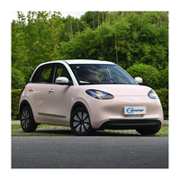 Voitures électriques Wuling Hongguang Wuling Bingo 2023 5 places 4 portes 120 km/h Blanc/Noir/Rouge/Gris