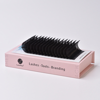 LashPlus Fournisseur 0.02 0.03 Boîte à cils en papier cachemire noir mat Plateaux à cils de marque privée Plateaux d'extension de cils en soie de cachemire