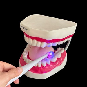 Cepillo de Dientes LED con Terapia de Luz Roja y Azul para el Cuidado de las Encías, Curación/Sensibilidad/Blanqueamiento Dental, Cepillo de Dientes Activo Smile - Product Image 3