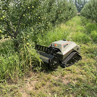 Tondeuses à fléaux télécommandées diesel robustes pour la maintenance des vignobles, fabriquées en Chine, avec fonction de désherbage