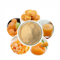 Poudre de jus d'extrait de melon miel de haute qualité, vente chaude, directement de l'usine
