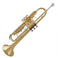 Trompeta de Latón con Acabado en Oro Laca, Clave de Bb, EARTHGRACE TR-300, para Principiantes