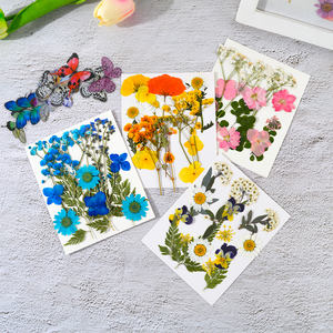 DM493-rellenos natrales de flores secas prensadas, hojas de plantas, espécimen, pegatina de mariposa, arte de resina artesanal para Decoración - Product Image 5